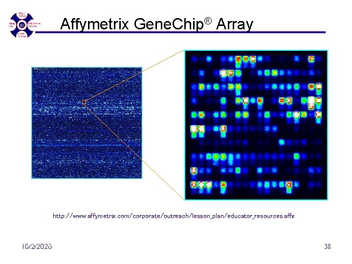 Affymetrix Gene. Chip® Array http: //www. affymetrix. com/corporate/outreach/lesson_plan/educator_resources. affx 7/10/07 - SEDE'07 10/2/2020 38 Affymetrix Gene. Chip® Array http: //www. affymetrix. com/corporate/outreach/lesson_plan/educator_resources. affx 7/10/07 - SEDE'07 10/2/2020 38
