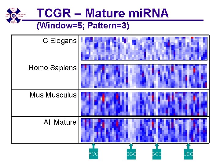 TCGR – Mature mi. RNA (Window=5; Pattern=3) C Elegans Homo Sapiens Musculus All Mature TCGR – Mature mi. RNA (Window=5; Pattern=3) C Elegans Homo Sapiens Musculus All Mature
