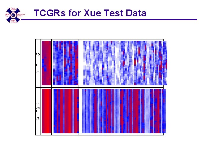 TCGRs for Xue Test Data PO S I T I VE NE GA T TCGRs for Xue Test Data PO S I T I VE NE GA T