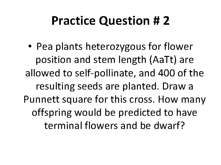 Practice Question # 2 • Pea plants heterozygous for flower position and stem length