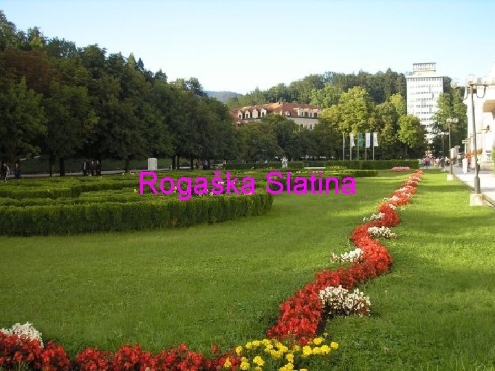 Rogaška Slatina 