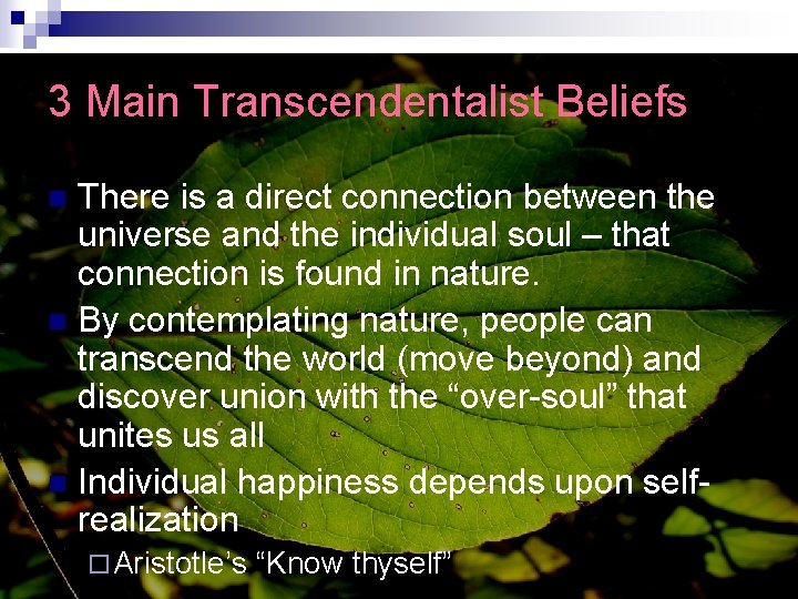 3 Main Transcendentalist Beliefs There is a direct connection between the universe and the