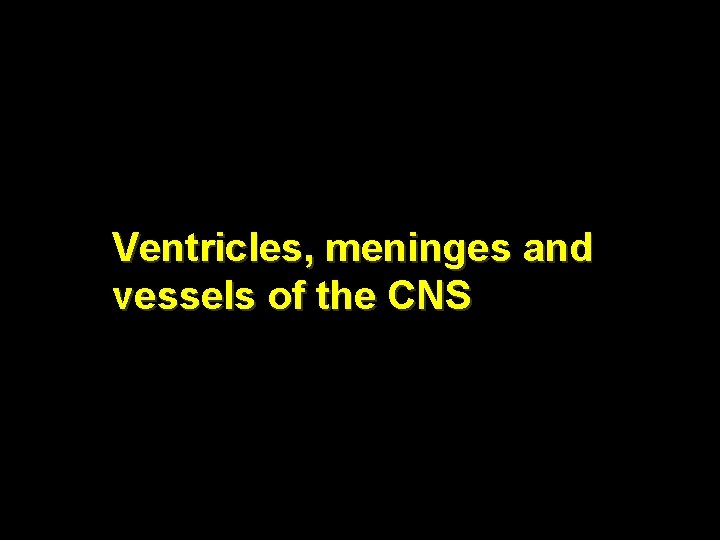 Ventricles, meninges and vessels of the CNS 