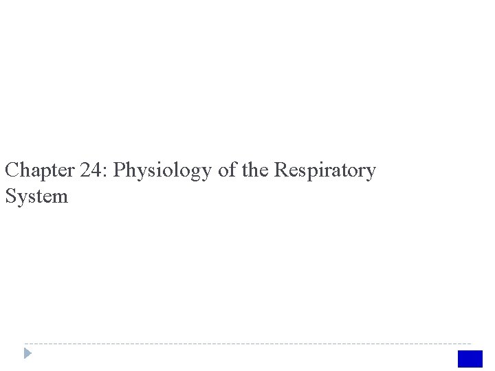 Chapter 24: Physiology of the Respiratory System 