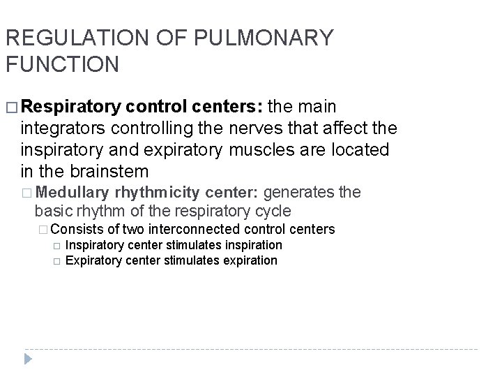 REGULATION OF PULMONARY FUNCTION � Respiratory control centers: the main integrators controlling the nerves