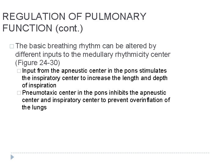REGULATION OF PULMONARY FUNCTION (cont. ) � The basic breathing rhythm can be altered