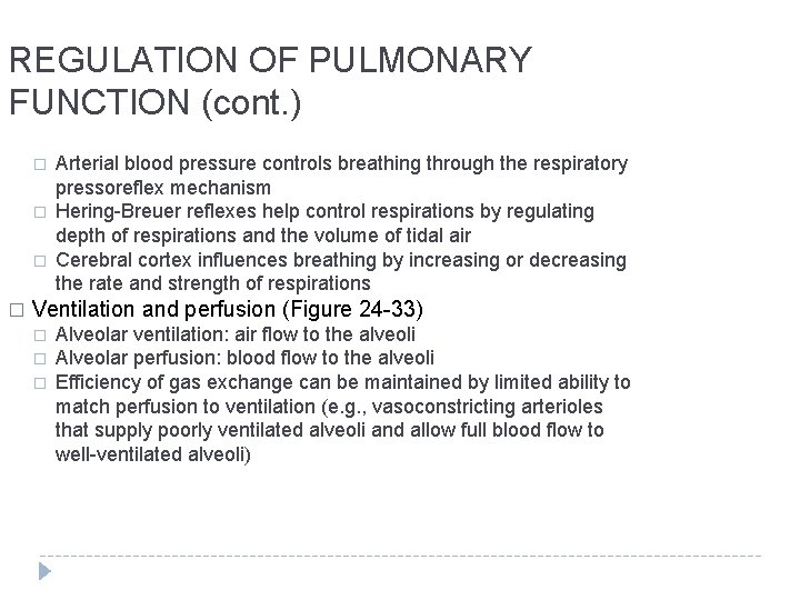 REGULATION OF PULMONARY FUNCTION (cont. ) � � Arterial blood pressure controls breathing through