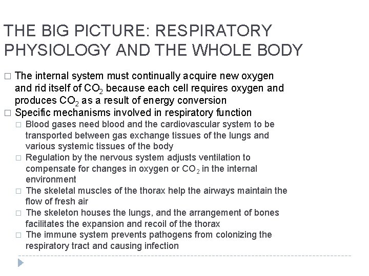 THE BIG PICTURE: RESPIRATORY PHYSIOLOGY AND THE WHOLE BODY The internal system must continually