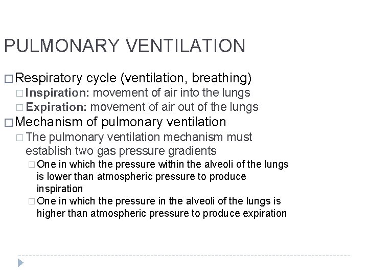 PULMONARY VENTILATION � Respiratory cycle (ventilation, breathing) � Inspiration: movement of air into the