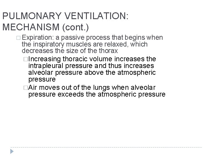 PULMONARY VENTILATION: MECHANISM (cont. ) � Expiration: a passive process that begins when the