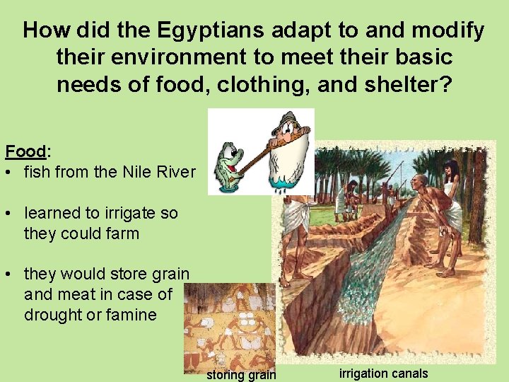 How did the Egyptians adapt to and modify their environment to meet their basic