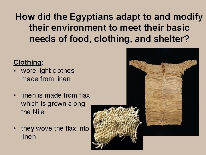 How did the Egyptians adapt to and modify their environment to meet their basic