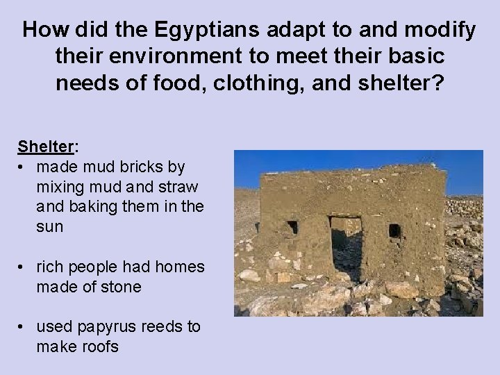 How did the Egyptians adapt to and modify their environment to meet their basic