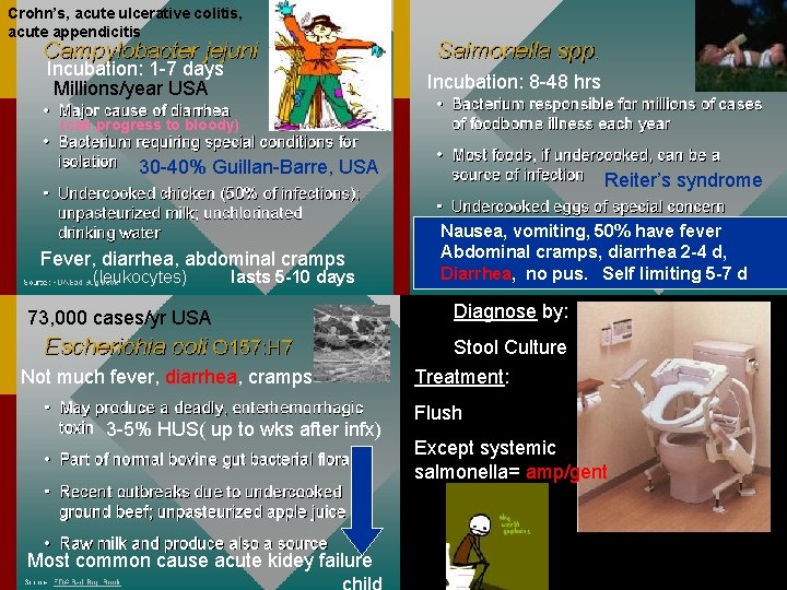 Crohn’s, acute ulcerative colitis, acute appendicitis Incubation: 1 -7 days Millions/year USA Incubation: 8