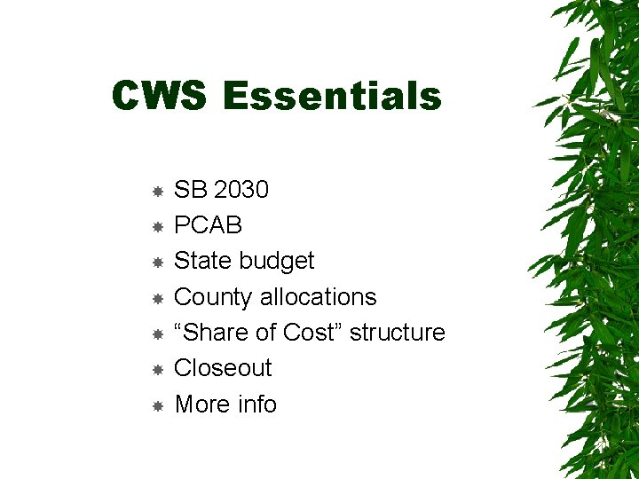 CWS Essentials SB 2030 PCAB State budget County allocations “Share of Cost” structure Closeout