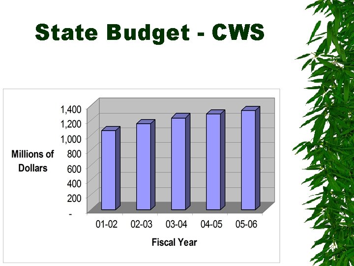 State Budget - CWS 