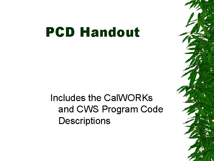 PCD Handout Includes the Cal. WORKs and CWS Program Code Descriptions 
