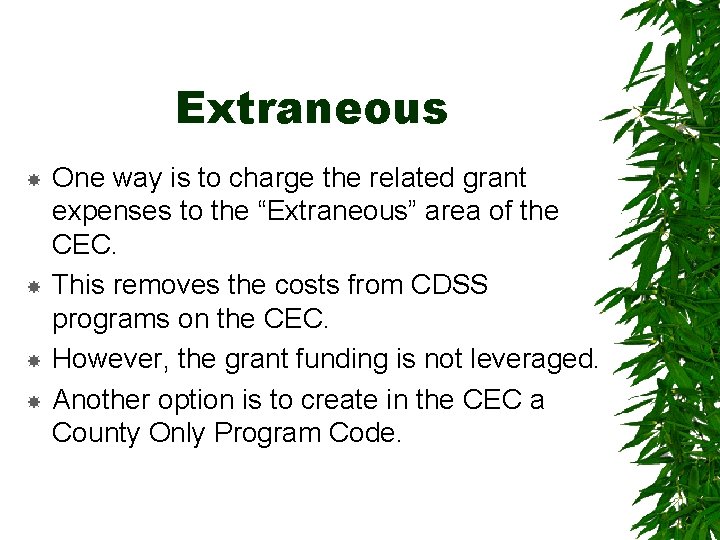 Extraneous One way is to charge the related grant expenses to the “Extraneous” area