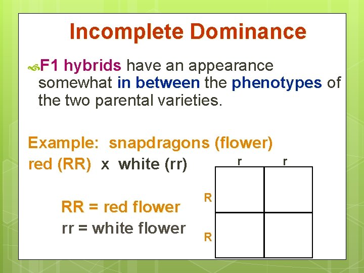 Incomplete Dominance F 1 hybrids have an appearance somewhat in between the phenotypes of