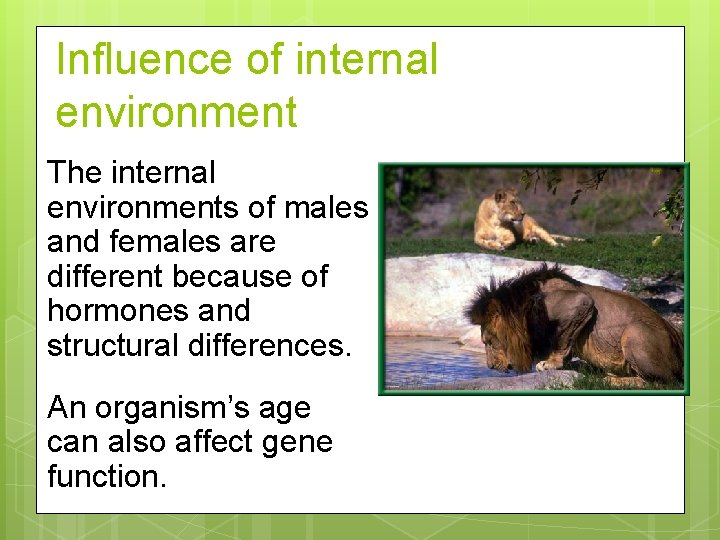 Influence of internal environment The internal environments of males and females are different because