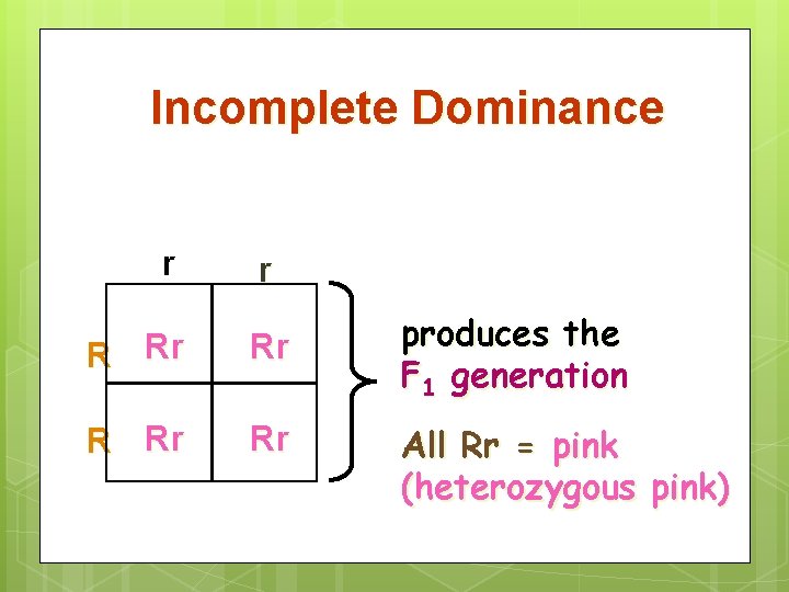 Incomplete Dominance r r R Rr Rr produces the F 1 generation All Rr