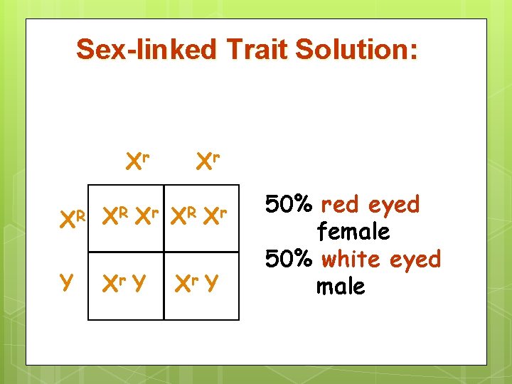 Sex-linked Trait Solution: Xr XR XR Xr Y Xr XR Xr Xr Y 50%