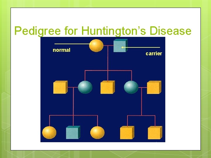 Pedigree for Huntington’s Disease normal carrier 