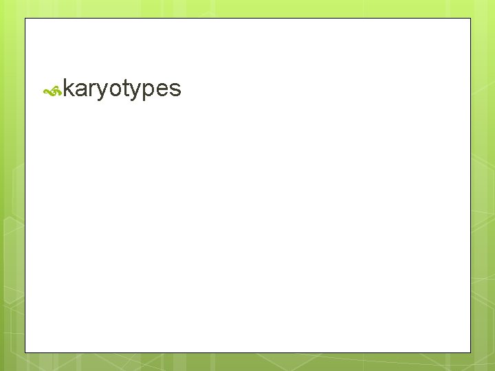  karyotypes 