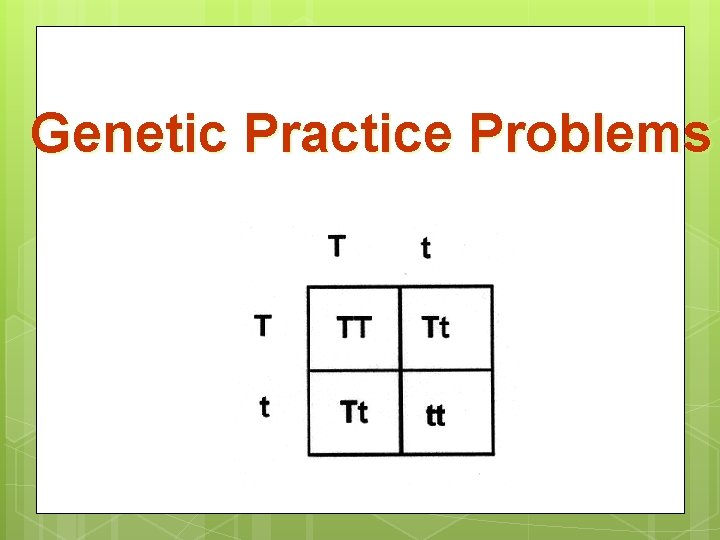 Genetic Practice Problems 