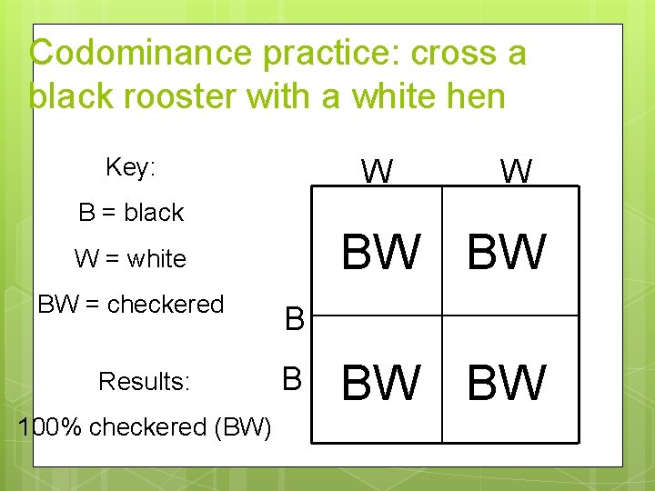 Codominance practice: cross a black rooster with a white hen Key: W B =