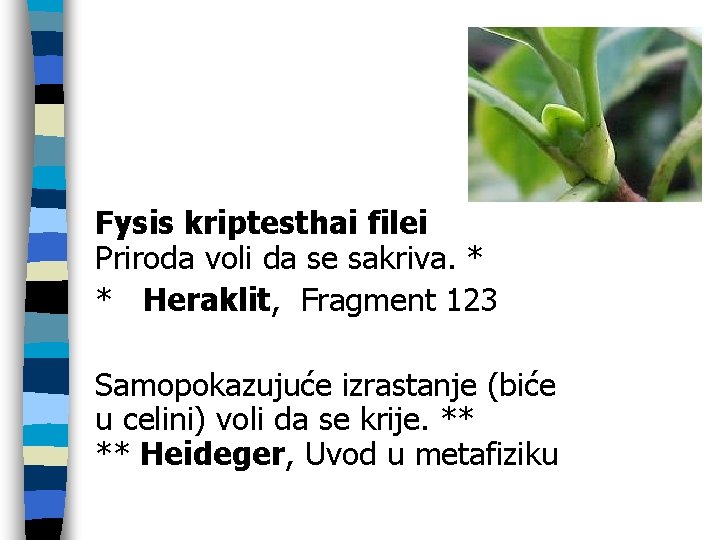 Fysis kriptesthai filei Priroda voli da se sakriva. * * Heraklit, Fragment 123 Samopokazujuće