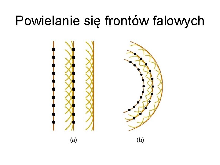 Powielanie się frontów falowych 