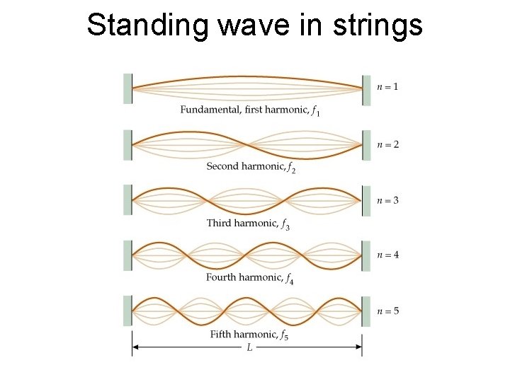 Standing wave in strings 