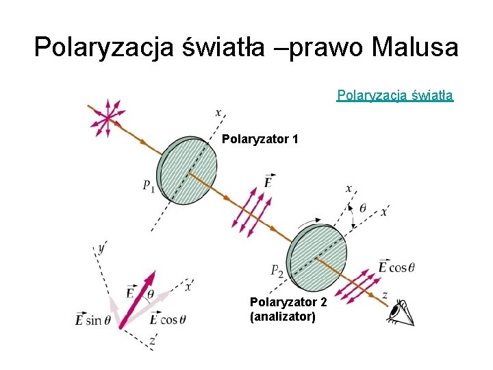 Polaryzacja światła –prawo Malusa Polaryzacja światła Polaryzator 1 Polaryzator 2 (analizator) 