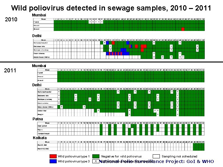 Wild poliovirus detected in sewage samples, 2010 – 2011 2010 Mumbai Delhi 2011 Mumbai