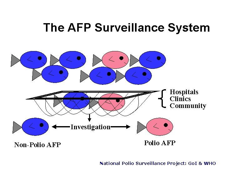 The AFP Surveillance System Hospitals Clinics Community Investigation Non-Polio AFP National Polio Surveillance Project: