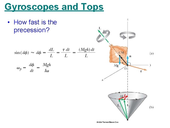 Gyroscopes and Tops • How fast is the precession? f 
