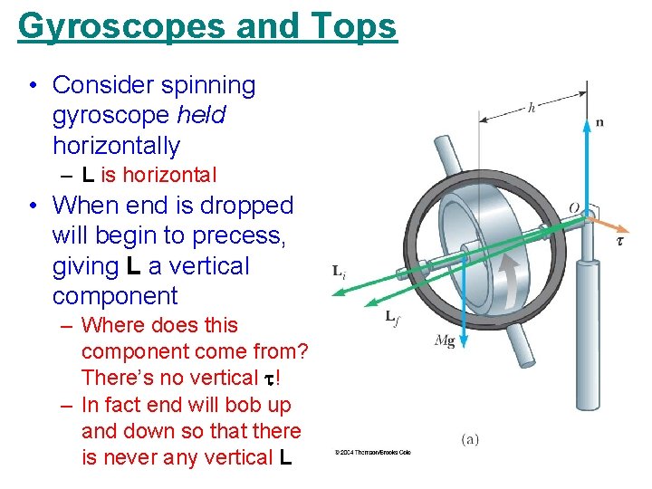 Gyroscopes and Tops • Consider spinning gyroscope held horizontally – L is horizontal •