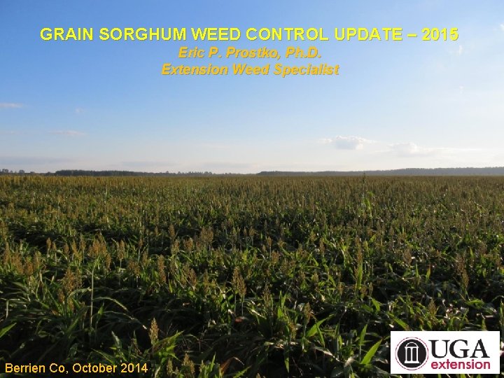 GRAIN SORGHUM WEED CONTROL UPDATE – 2015 Eric P. Prostko, Ph. D. Extension Weed