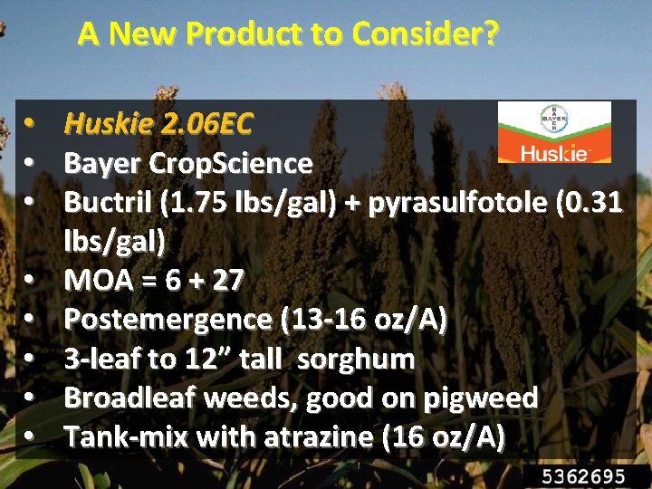 A New Product to Consider? • • Huskie 2. 06 EC Bayer Crop. Science