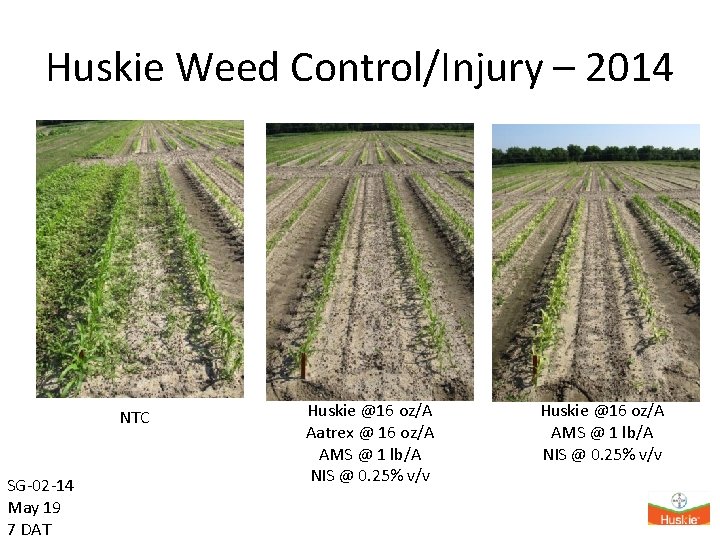 Huskie Weed Control/Injury – 2014 NTC SG-02 -14 May 19 7 DAT Huskie @16