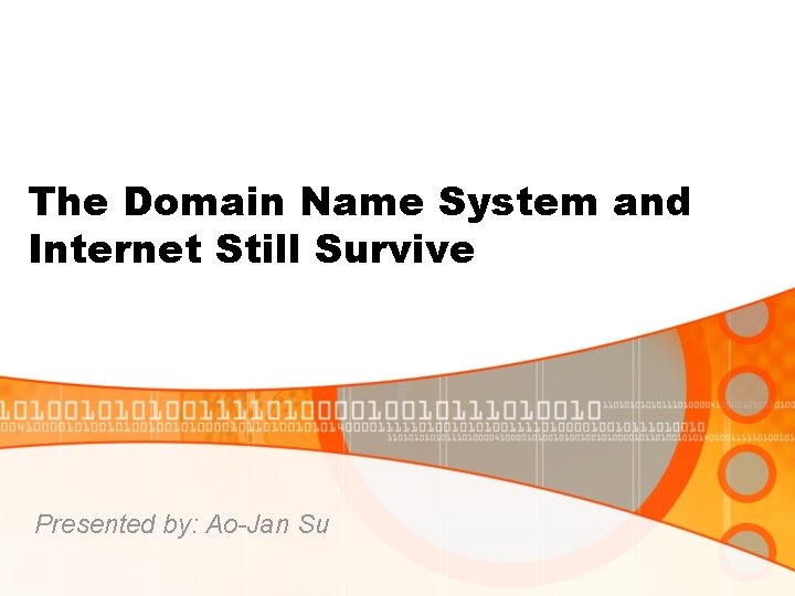 The Domain Name System and Internet Still Survive Presented by: Ao-Jan Su 
