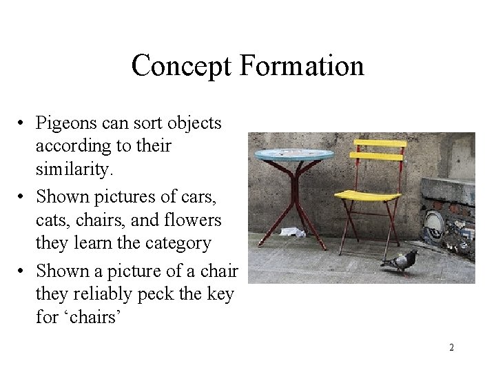 Concept Formation • Pigeons can sort objects according to their similarity. • Shown pictures