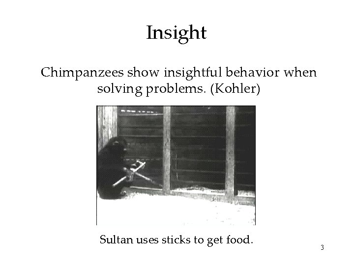 Insight Chimpanzees show insightful behavior when solving problems. (Kohler) Sultan uses sticks to get