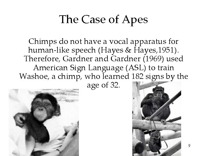 The Case of Apes Chimps do not have a vocal apparatus for human-like speech