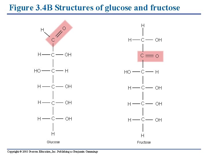 Figure 3. 4 B Structures of glucose and fructose H O H H C