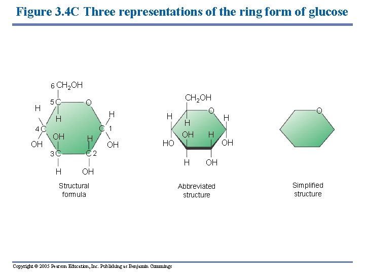 Figure 3. 4 C Three representations of the ring form of glucose 6 CH