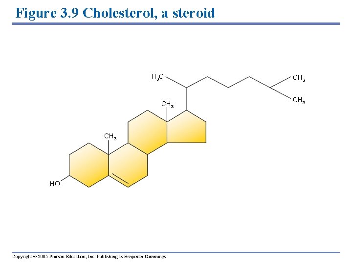 Figure 3. 9 Cholesterol, a steroid H 3 C CH 3 HO Copyright ©