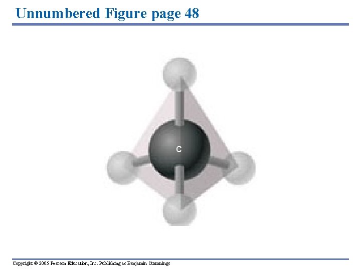 Unnumbered Figure page 48 C Copyright © 2005 Pearson Education, Inc. Publishing as Benjamin