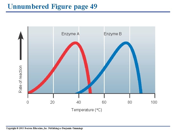 Unnumbered Figure page 49 Enzyme B Rate of reaction Enzyme A 0 20 40